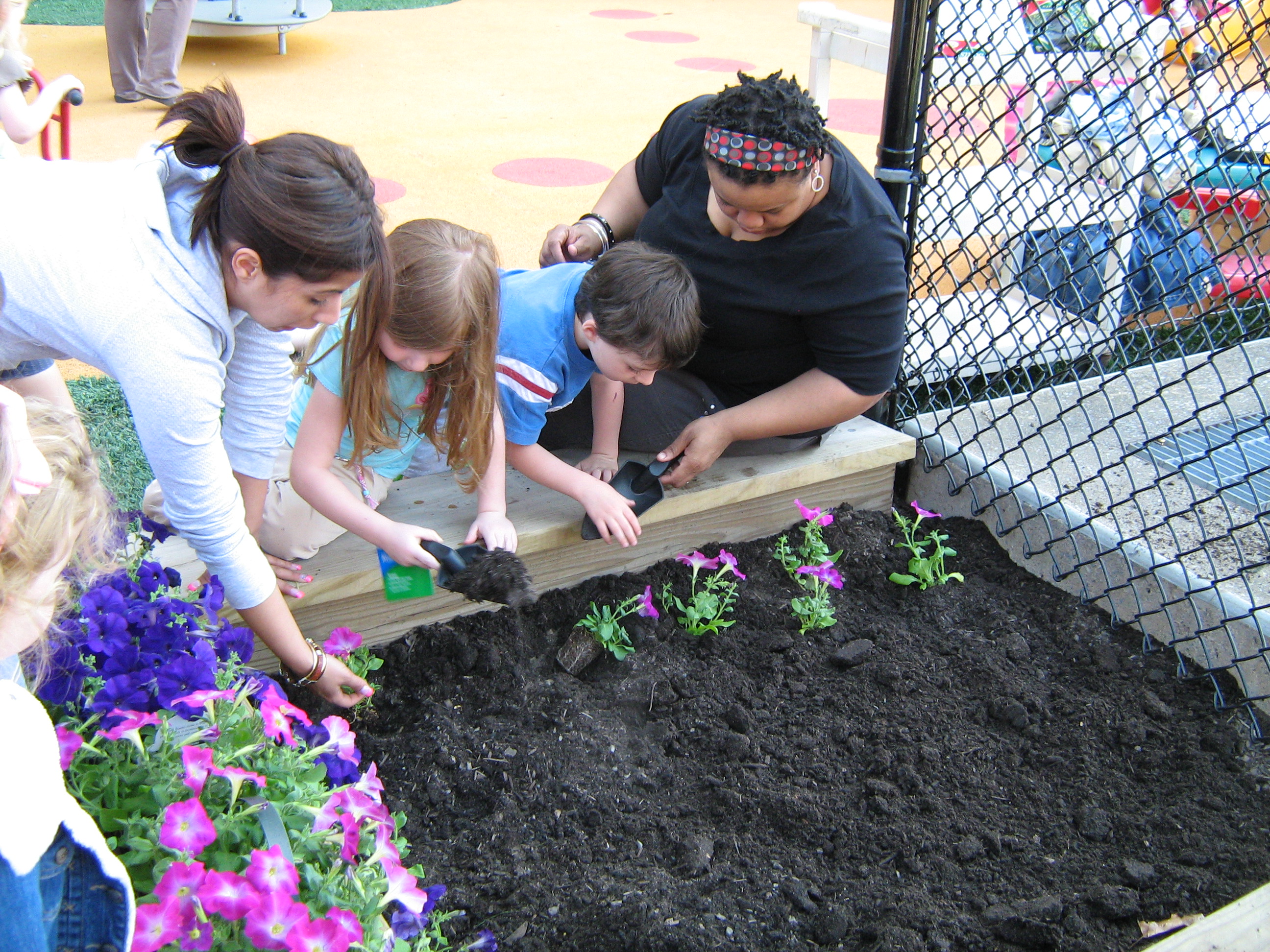 Child care providers helping children plants flowers in raised garden bed