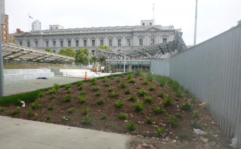 looking across the plaza toward the cafe, the new fence can be seen along thr right side of the image. new plants have been placed along the fence in the plaza of the San Francisco Federal Building