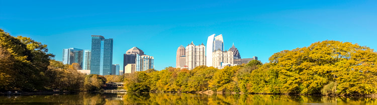 Region 4 city skyline with autumn trees in the foreground