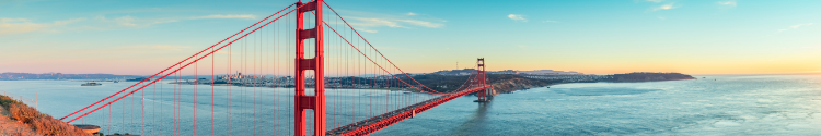 Banner image of SF