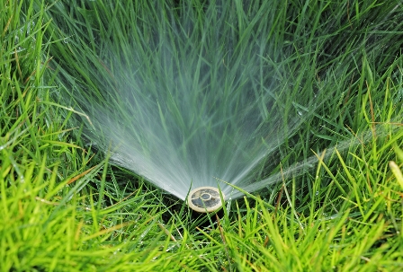 Image of a sprinkler head shoot out of the water