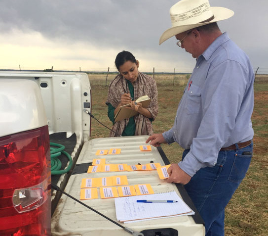 A farmer and a CoE researcher discuss cards laid out on the bed of a pickup truck