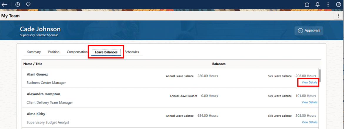Screenshot showing Leave Balances tab with the View Details link highlighted.