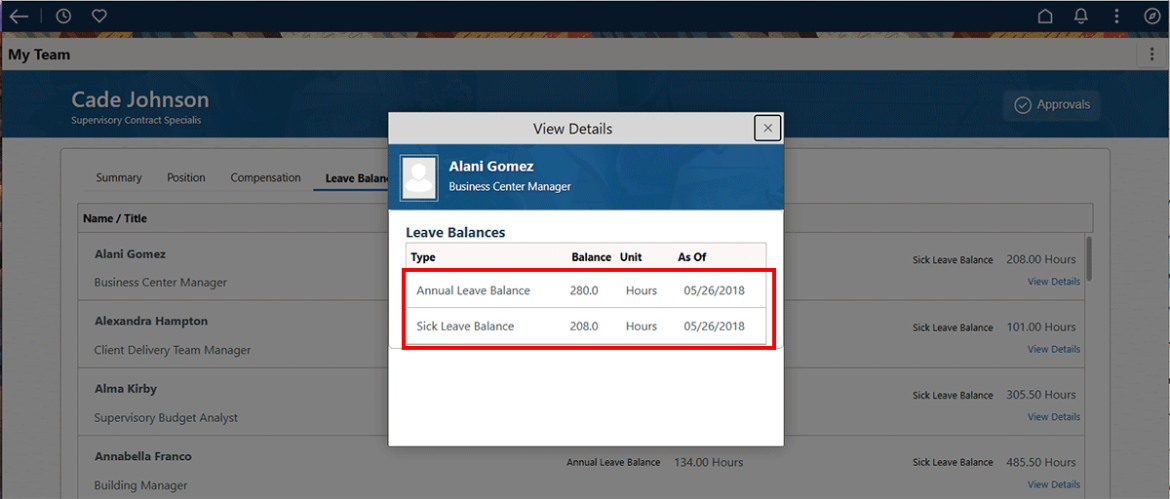 Screenshot showing the View Details popup with the Annual and sick leave balances highlighted in red.