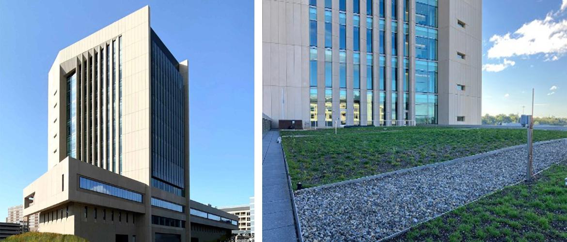 Photo at left: Courtesy of Ennead Architects Photo at right: Rambo USCH green roof