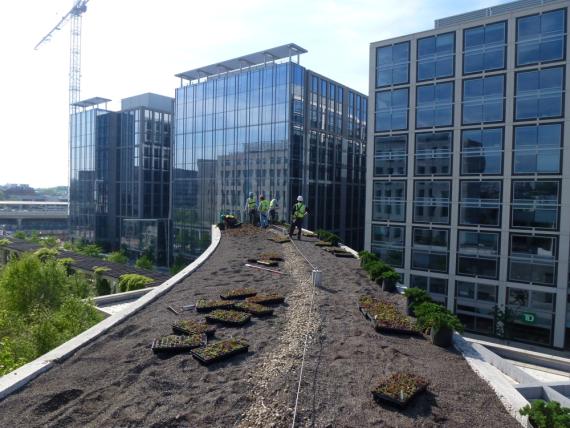 Photo a planted roof installation. Workers are placing squares of plants onto soil on a flat building roof.