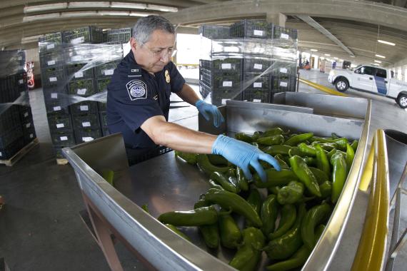 CBP Officer inspecting Vegetables for new cold storage at Mariposa