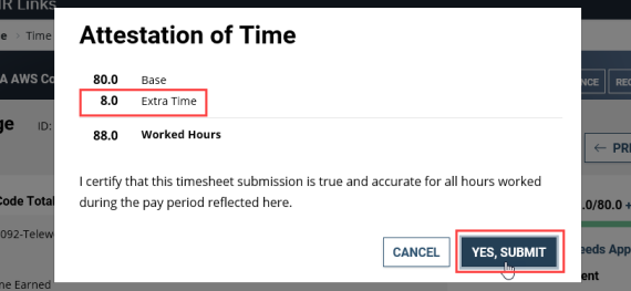 Employee timesheet amend 11