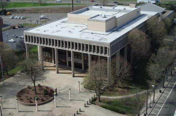 aerial view of the building with columns in front, trees all around and a flag pole to the left