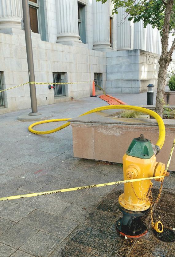 Moss Water Solution Image