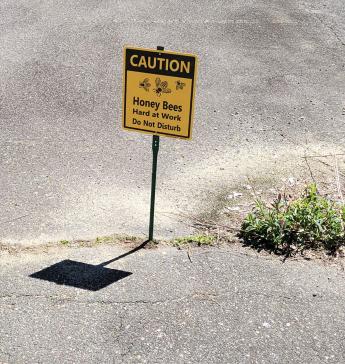 a sign that says caution bees at work