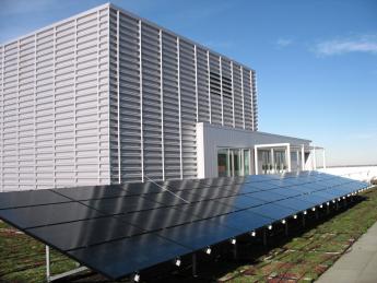 Photo of one row of solar panels sitting on top of an extensive green roof on a sunny day. A building entrance is visible in the background