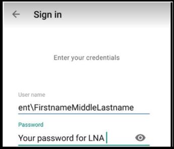 Screenshot of step 4 of citrix login