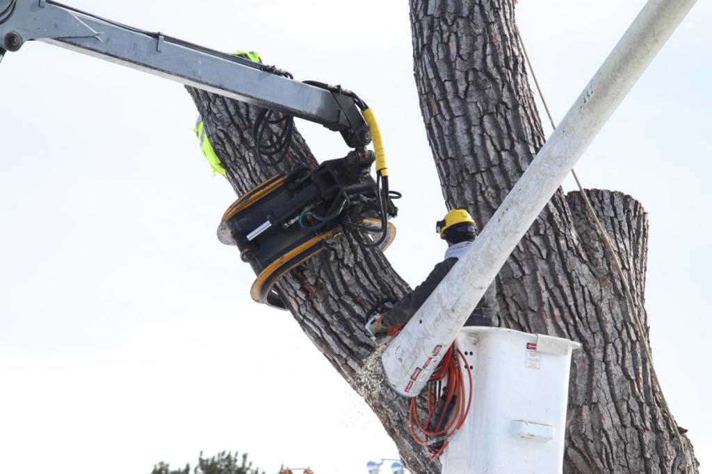 Photo of Portland Customs House 