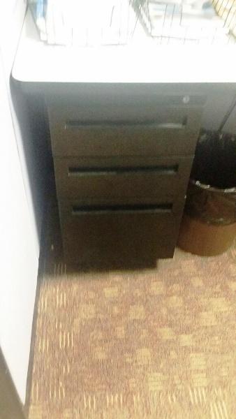 Item101ThreeDrawerVerticleFileCabinet