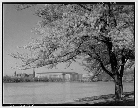 Liberty Loan federal building