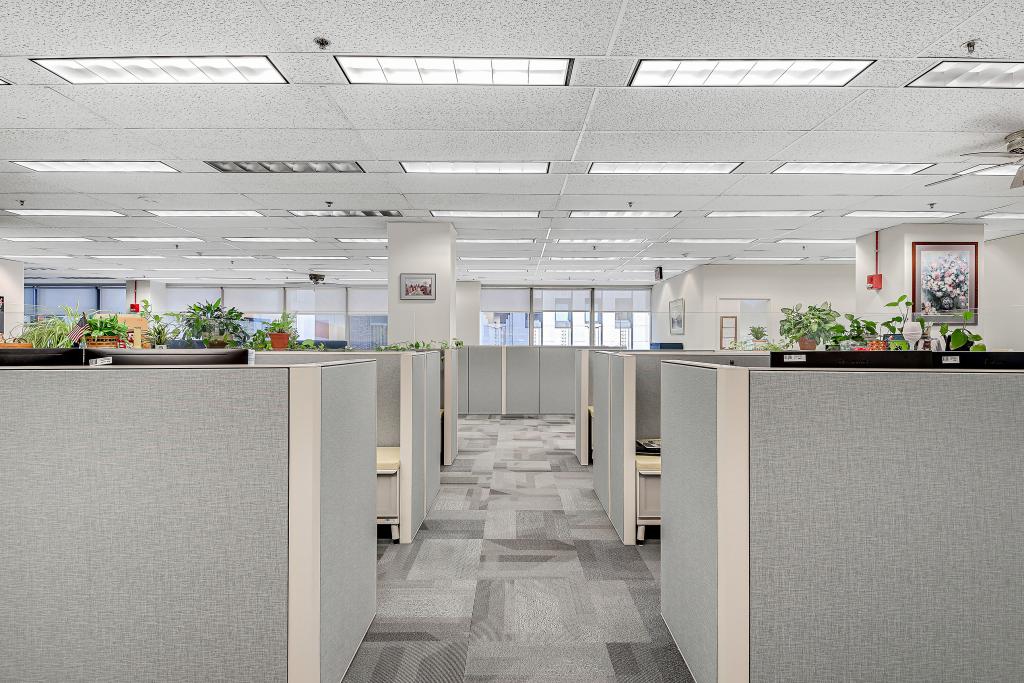 Typical Office Space