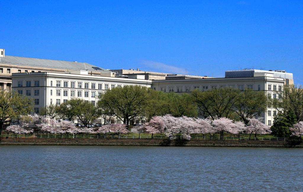 A light-color stone governmental building near a basin of water with cherry trees in bloom