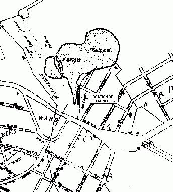 Portion of Maerschalk's "Plan of New York" showing a row of tanneries along the Collect Pond outletlock